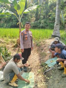 IMG-20260725-WA0002